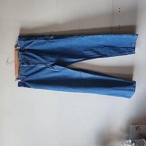 CARHARTT MENS BLUE CARPENTER JEANS. NEW WITHOUT TAG.